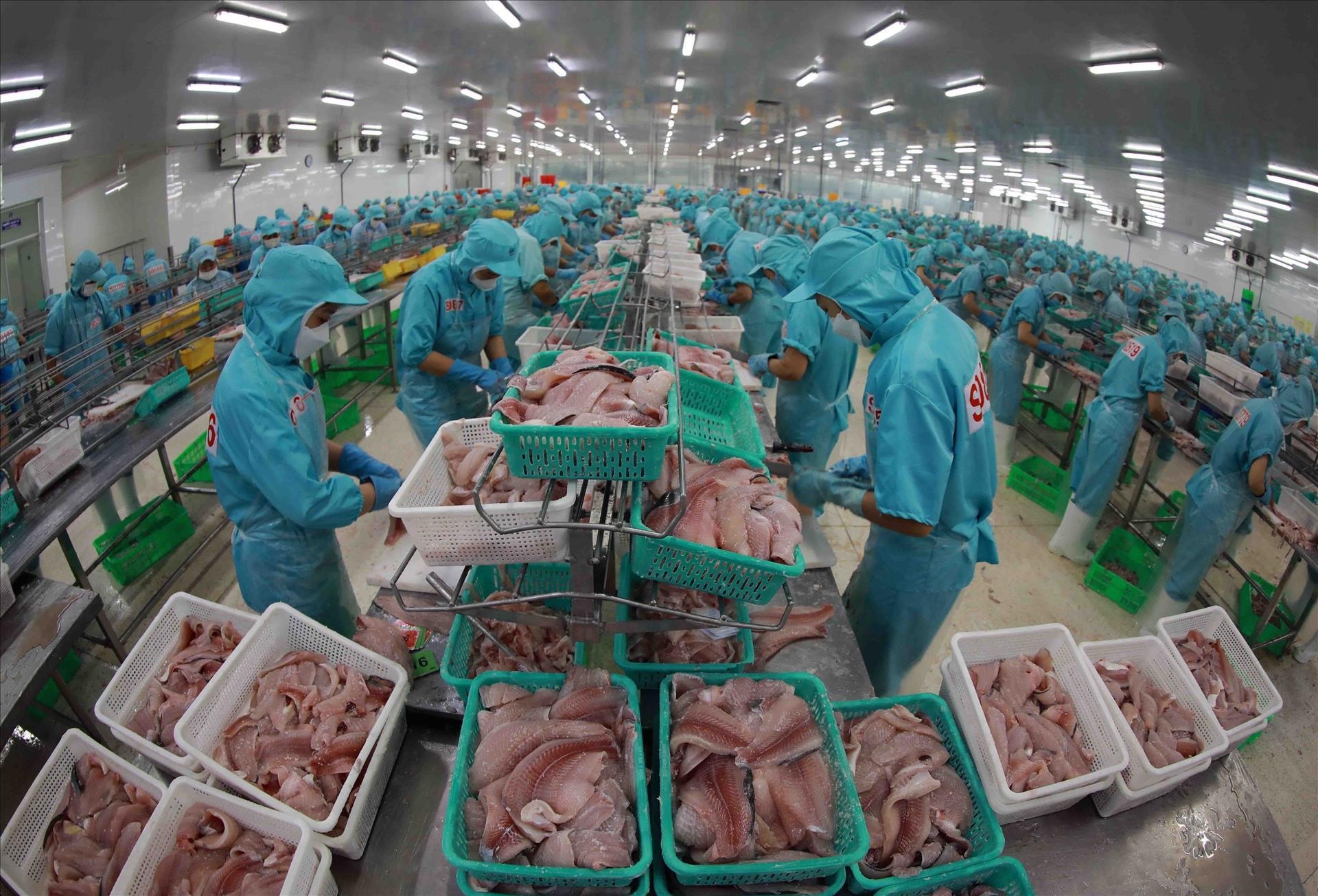 Nhà máy trên khắp Đông Nam Á bắt đầu đóng cửa và sa thải hàng loạt, chuyện gì đang xảy ra?