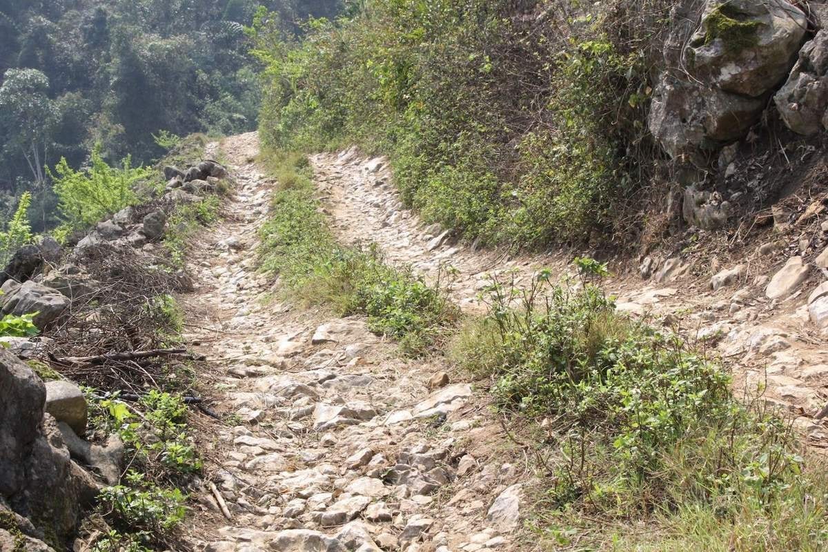 bat-gap-ngoi-lang-hang-tau-moc-chau-lang-nguyen-thuy-binh-yen-gian-di-03-1645721873.jpg