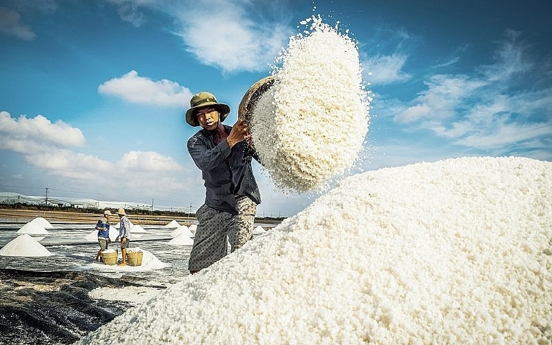 viet-nam-nhap-khau-muoi-2.jpg