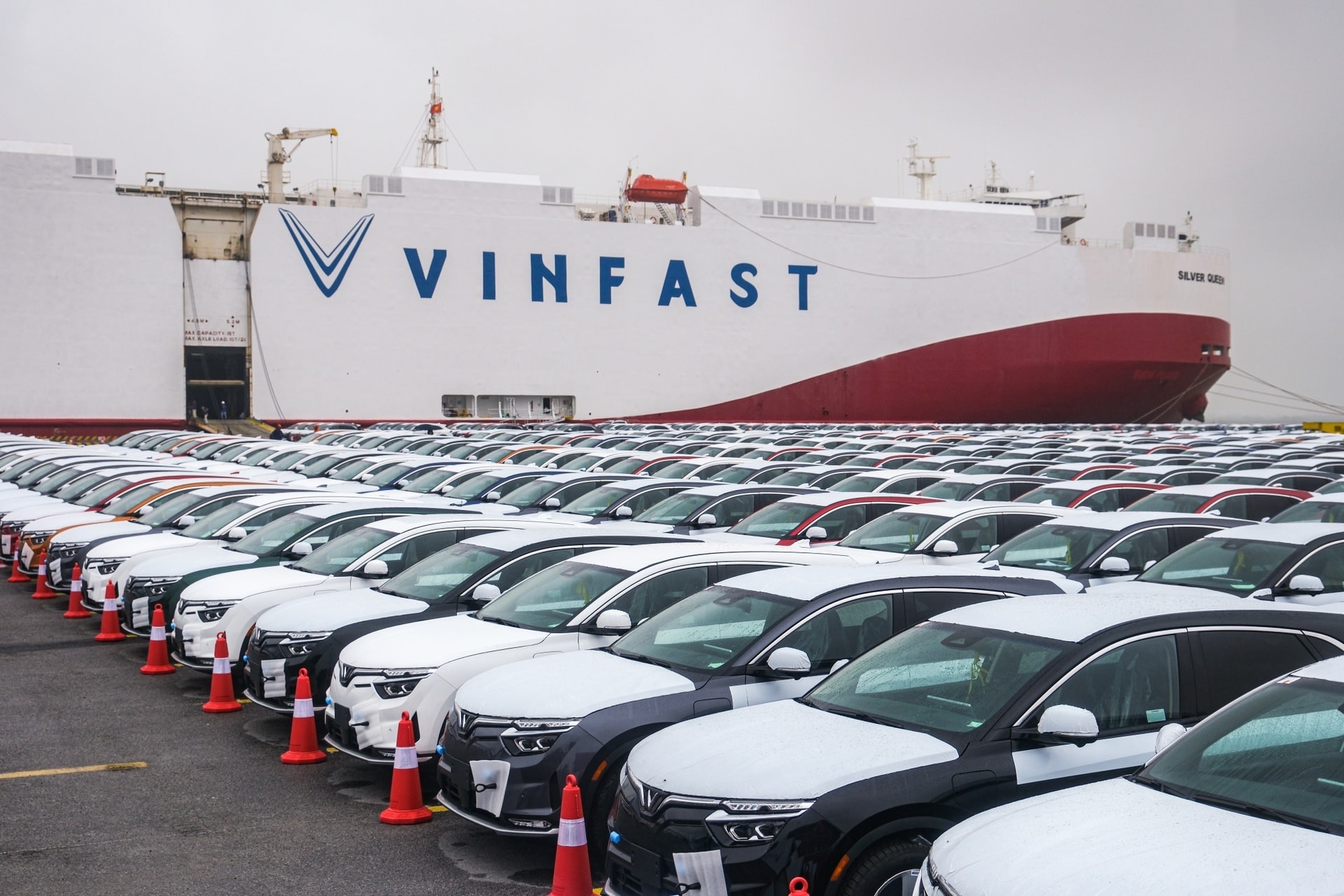 Từ doanh số VinFast đến cỗ máy tạo nguồn lực ESG của Vingroup: Khi tất cả cùng nhau lớn lên - Ảnh 1.