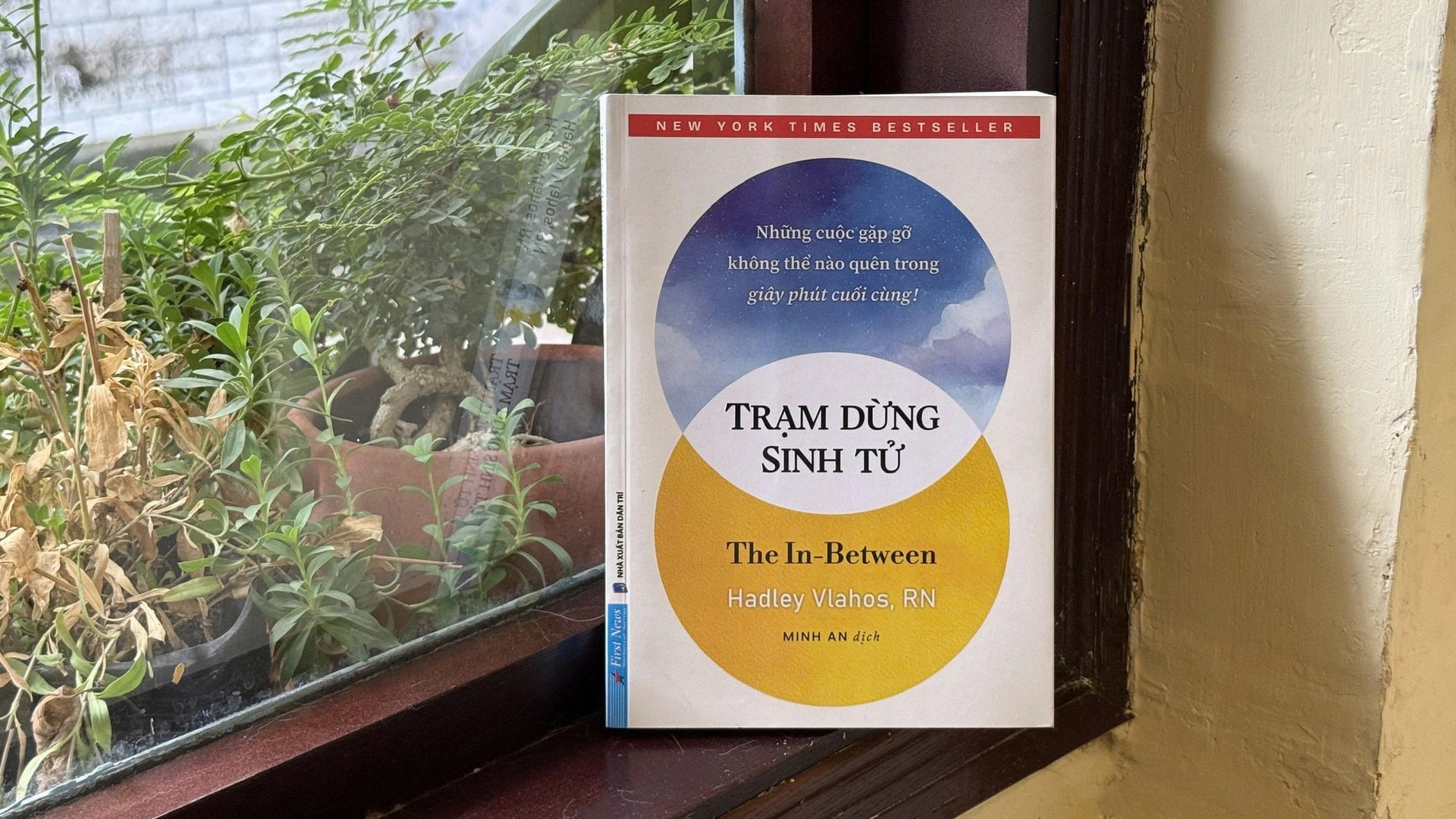tramdungsinhtu4.jpg