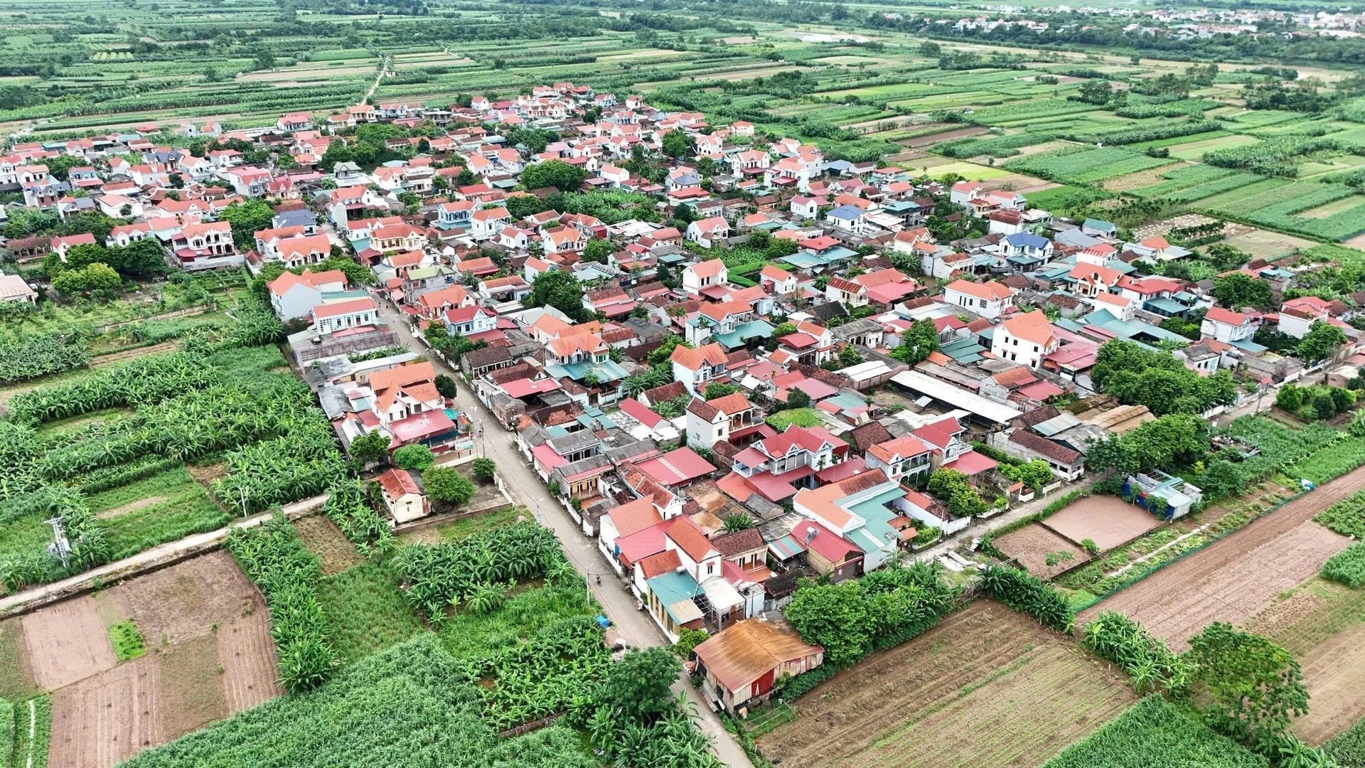 mien-phi-bhyt-2.jpg