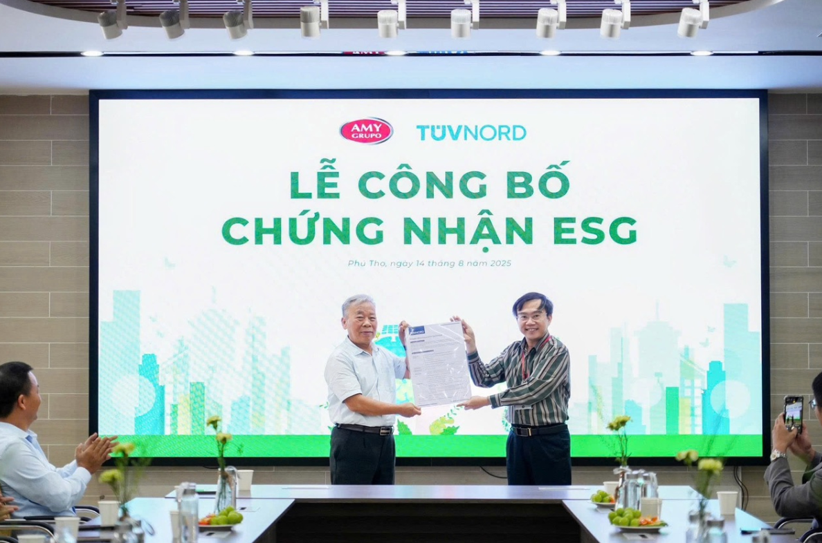 AMY GRUPO: Một thập kỷ xây nền cho những khát vọng lớn hơn - Ảnh 3.
