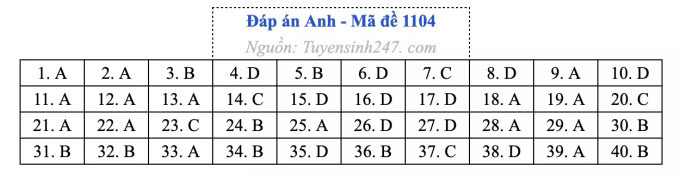 Đề thi môn Tiếng Anh tốt nghiệp THPT 2026, cập nhật đáp án - Ảnh 8.