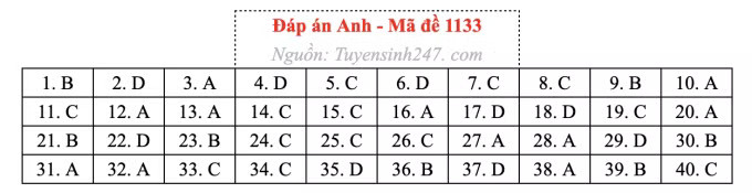 Đề thi môn Tiếng Anh tốt nghiệp THPT 2026, cập nhật đáp án - Ảnh 37.