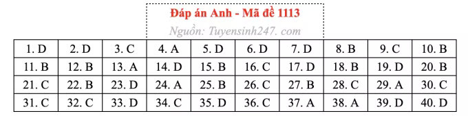 Đề thi môn Tiếng Anh tốt nghiệp THPT 2026, cập nhật đáp án - Ảnh 17.