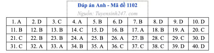 Đề thi môn Tiếng Anh tốt nghiệp THPT 2026, cập nhật đáp án - Ảnh 6.