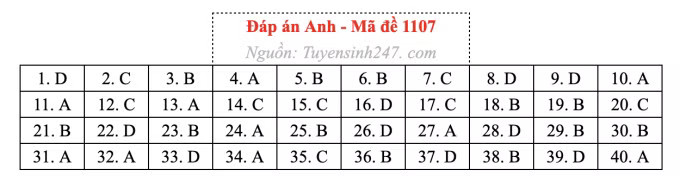Đề thi môn Tiếng Anh tốt nghiệp THPT 2026, cập nhật đáp án - Ảnh 11.