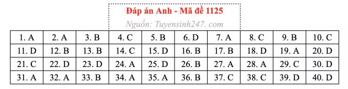 Đề thi môn Tiếng Anh tốt nghiệp THPT 2026, cập nhật đáp án - Ảnh 29.