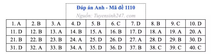 Đề thi môn Tiếng Anh tốt nghiệp THPT 2026, cập nhật đáp án - Ảnh 14.