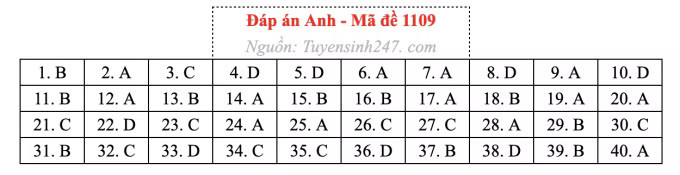Đề thi môn Tiếng Anh tốt nghiệp THPT 2026, cập nhật đáp án - Ảnh 13.