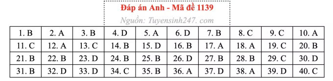 Đề thi môn Tiếng Anh tốt nghiệp THPT 2026, cập nhật đáp án - Ảnh 43.