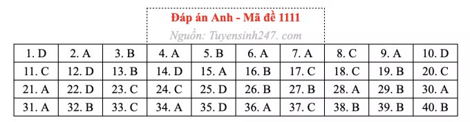 Đề thi môn Tiếng Anh tốt nghiệp THPT 2026, cập nhật đáp án - Ảnh 15.