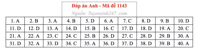 Đề thi môn Tiếng Anh tốt nghiệp THPT 2026, cập nhật đáp án - Ảnh 47.