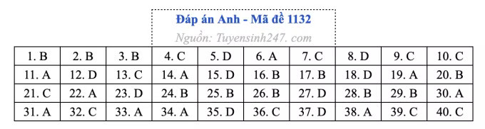 Đề thi môn Tiếng Anh tốt nghiệp THPT 2026, cập nhật đáp án - Ảnh 36.