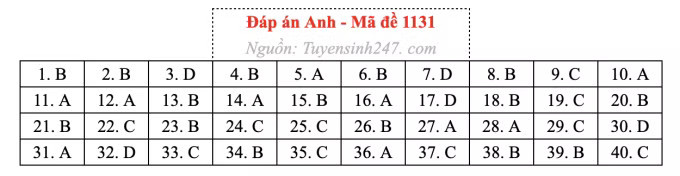 Đề thi môn Tiếng Anh tốt nghiệp THPT 2026, cập nhật đáp án - Ảnh 35.