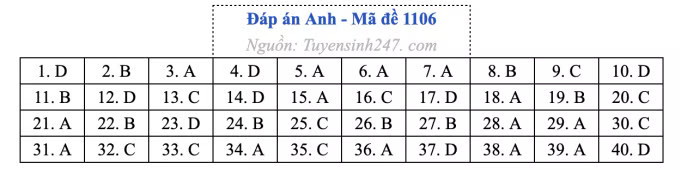Đề thi môn Tiếng Anh tốt nghiệp THPT 2026, cập nhật đáp án - Ảnh 10.