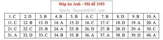 Đề thi môn Tiếng Anh tốt nghiệp THPT 2026, cập nhật đáp án - Ảnh 7.