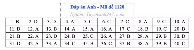 Đề thi môn Tiếng Anh tốt nghiệp THPT 2026, cập nhật đáp án - Ảnh 24.