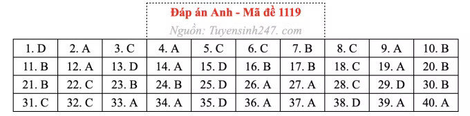 Đề thi môn Tiếng Anh tốt nghiệp THPT 2026, cập nhật đáp án - Ảnh 23.