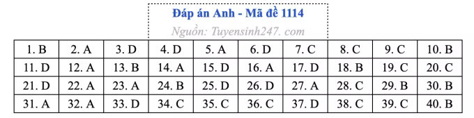 Đề thi môn Tiếng Anh tốt nghiệp THPT 2026, cập nhật đáp án - Ảnh 18.