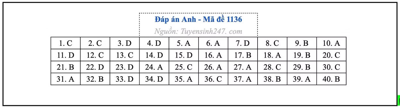 Đề thi môn Tiếng Anh tốt nghiệp THPT 2026, cập nhật đáp án - Ảnh 5.