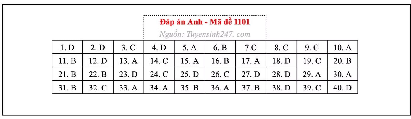 Đề thi môn Tiếng Anh tốt nghiệp THPT 2026, cập nhật đáp án - Ảnh 6.
