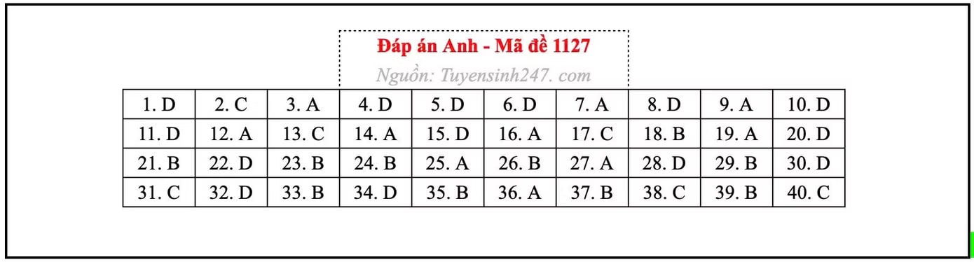 Đề thi môn Tiếng Anh tốt nghiệp THPT 2026, cập nhật đáp án - Ảnh 8.