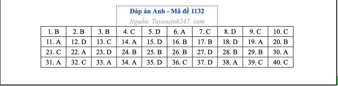 Đề thi môn Tiếng Anh tốt nghiệp THPT 2026, cập nhật đáp án - Ảnh 9.
