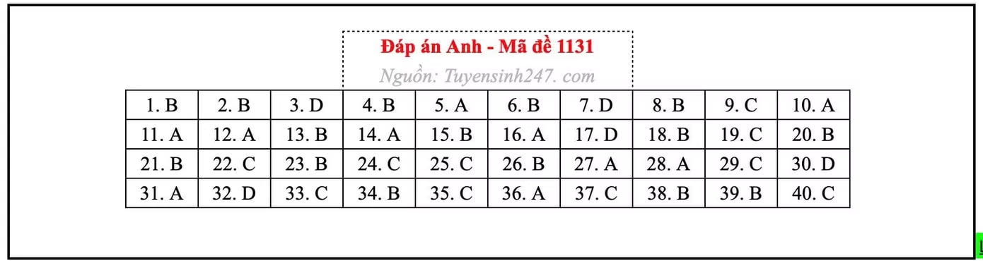 Đề thi môn Tiếng Anh tốt nghiệp THPT 2026, cập nhật đáp án - Ảnh 11.