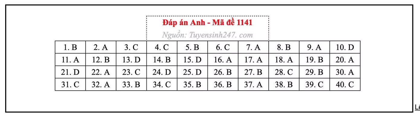 Đề thi môn Tiếng Anh tốt nghiệp THPT 2026, cập nhật đáp án - Ảnh 7.
