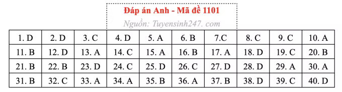 Đề thi môn Tiếng Anh tốt nghiệp THPT 2026, cập nhật đáp án - Ảnh 5.