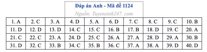 Đề thi môn Tiếng Anh tốt nghiệp THPT 2026, cập nhật đáp án - Ảnh 28.