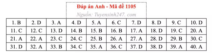 Đề thi môn Tiếng Anh tốt nghiệp THPT 2026, cập nhật đáp án - Ảnh 9.