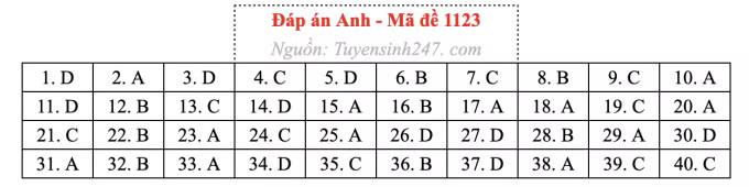 Đề thi môn Tiếng Anh tốt nghiệp THPT 2026, cập nhật đáp án - Ảnh 27.