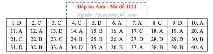 Đề thi môn Tiếng Anh tốt nghiệp THPT 2026, cập nhật đáp án - Ảnh 25.