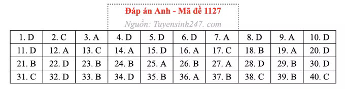 Đề thi môn Tiếng Anh tốt nghiệp THPT 2026, cập nhật đáp án - Ảnh 31.