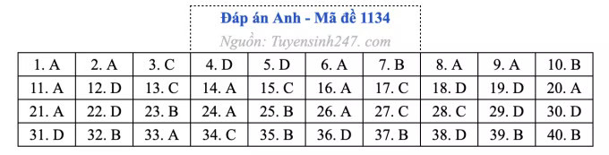 Đề thi môn Tiếng Anh tốt nghiệp THPT 2026, cập nhật đáp án - Ảnh 38.