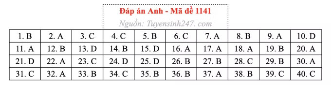 Đề thi môn Tiếng Anh tốt nghiệp THPT 2026, cập nhật đáp án - Ảnh 45.