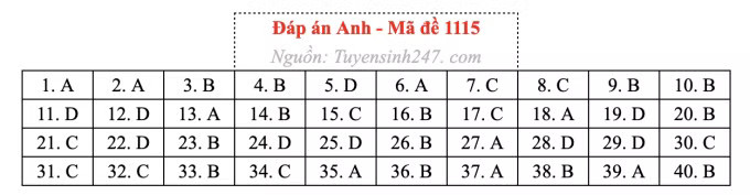 Đề thi môn Tiếng Anh tốt nghiệp THPT 2026, cập nhật đáp án - Ảnh 19.