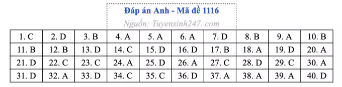 Đề thi môn Tiếng Anh tốt nghiệp THPT 2026, cập nhật đáp án - Ảnh 20.