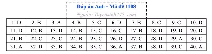Đề thi môn Tiếng Anh tốt nghiệp THPT 2026, cập nhật đáp án - Ảnh 12.