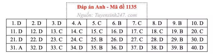 Đề thi môn Tiếng Anh tốt nghiệp THPT 2026, cập nhật đáp án - Ảnh 39.