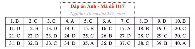 Đề thi môn Tiếng Anh tốt nghiệp THPT 2026, cập nhật đáp án - Ảnh 21.
