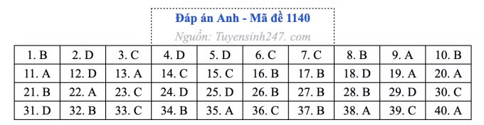 Đề thi môn Tiếng Anh tốt nghiệp THPT 2026, cập nhật đáp án - Ảnh 44.