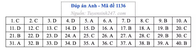 Đề thi môn Tiếng Anh tốt nghiệp THPT 2026, cập nhật đáp án - Ảnh 40.