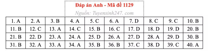 Đề thi môn Tiếng Anh tốt nghiệp THPT 2026, cập nhật đáp án - Ảnh 33.