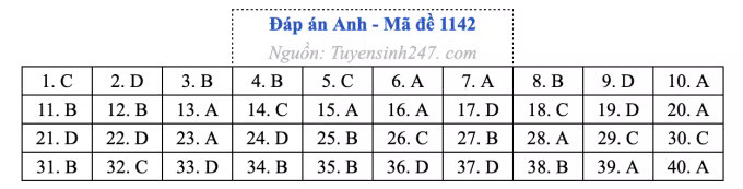 Đề thi môn Tiếng Anh tốt nghiệp THPT 2026, cập nhật đáp án - Ảnh 46.