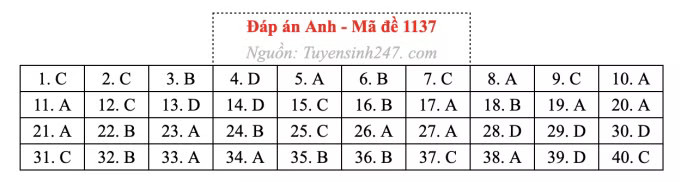 Đề thi môn Tiếng Anh tốt nghiệp THPT 2026, cập nhật đáp án - Ảnh 41.