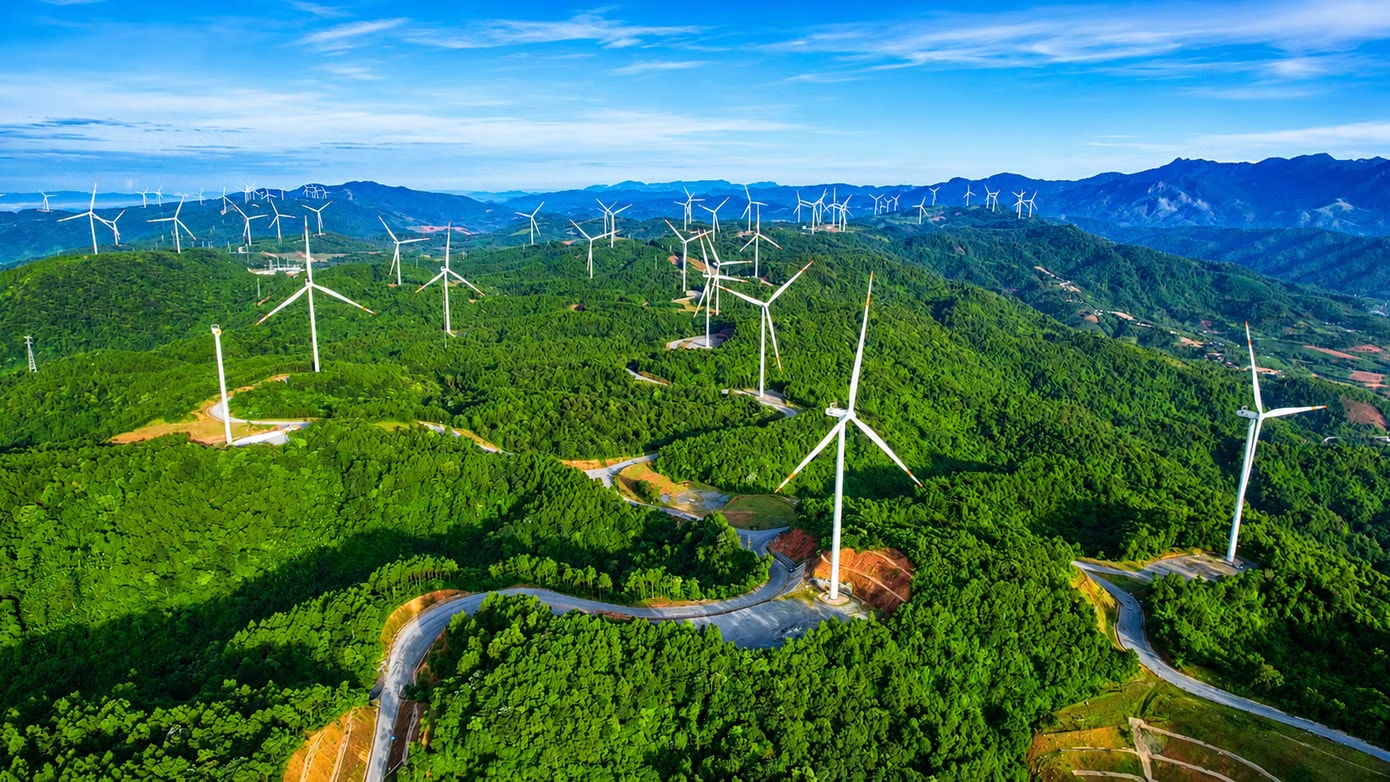 Thanh tra tỉnh kiến nghị tổ chức kiểm điểm, rút kinh nghiệm đối với tập thể, cá nhân liên quan. Thanh tra phát hiện loạt sai phạm tại 14 dự án điện gió - Ảnh 3.